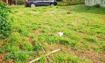 Imagem 5: Terreno à venda, Tarumã - Viamão/RS