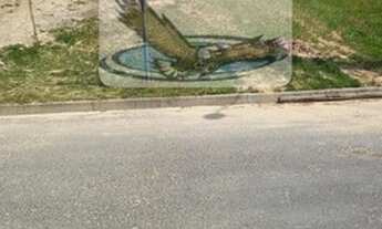 Imagem 4: Terreno para Venda em Itatiba Country Club Itatiba-SP - TE837