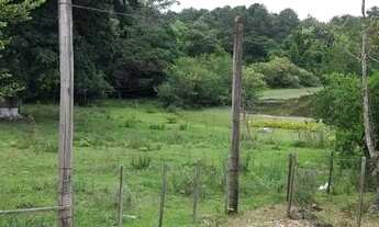 Imagem 6: Sítio à venda, 4 quartos, Sitio São José - Viamão/RS