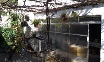 Imagem 4: Casa para venda tem 300 metros quadrados com 2 quartos em Jardim São Pedro - Porto Alegre