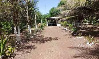 Imagem 5: Sítio em Benevides 5 km do centro de Benevides