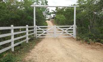 Imagem: Fazendinhas de 20.000m² as margens do Rio