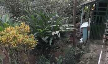 Imagem 4: Vendo lindo lugar no saco dos limoes