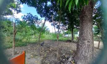 Imagem 4: Terreno de 1900m2 no bairro Gurupá em Teresina-PI, excelente oportunidade