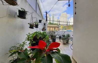 Imagem 4: SAO PAULO - Casa Padrão - VILA LEOPOLDINA