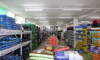 Imagem 4: Loja para aluguel, Osvaldo Rezende - Uberlândia/MG