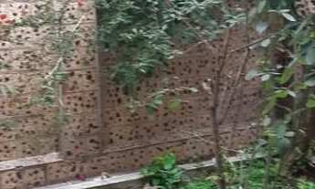 Imagem 6: Casa à venda, 3 quartos, 2 vagas, VILA DIVINA PASTORA - São Paulo/SP