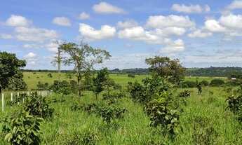 Imagem 2: Vendo chácara Chácara com venda por R$320.000