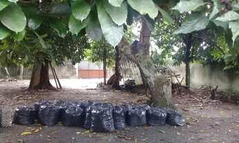 Imagem 5: João Paulo ( Jorge Teixeira