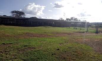 Imagem 3: Fazenda de 37 alqueires em - Caiapônia -GO