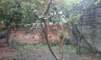 Imagem 3: João Paulo ( Jorge Teixeira