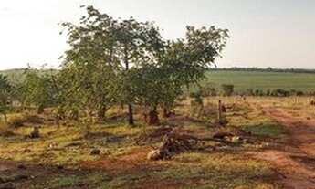 Imagem 2: 056. Chácara em Jaraguari Dupla Aptidão