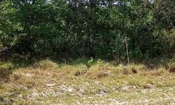 Imagem 1: Vendo este lote 10x29 no KL-32 na estrada de Manacapuru