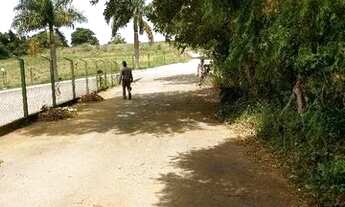 Imagem 3: Haras - / Rural / Centro