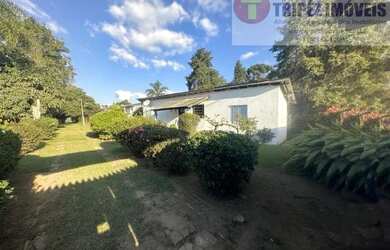 Imagem 4: Oportunidade para Investidores! 5.000 m² totalmente plano