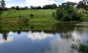 Imagem 7: Haras - / Rural / Centro