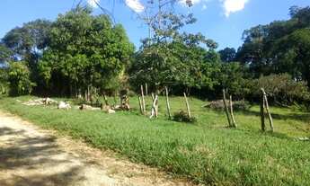 Imagem 5: Área urbana em Caçapava para loteamento/predinhos/villagios