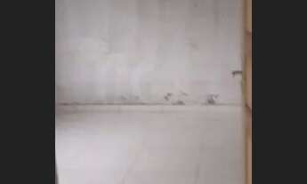 Imagem 4: Alugo casa nova esperança