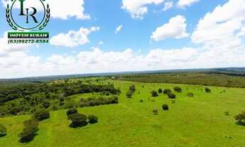 Imagem 3: Fazenda 110 Alqueires Beira Asfalto, Próximo da Capital