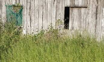 Imagem 4: 123. Fazendo no Município de Aquidauana/MS