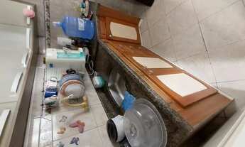 Imagem 3: Eucalipto/ ponto novo