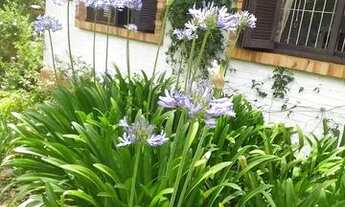 Imagem 5: Casa em Santa Tereza