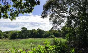 Imagem: Chácara na Praia de Pontal do Ipiranga