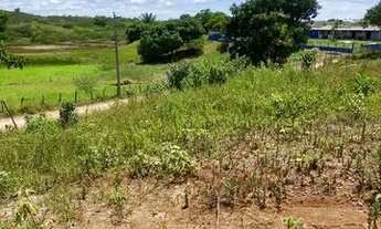 Imagem 3: Terreno em Nossa Senhora do Socorro