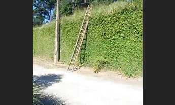 Imagem 6: Alugo piso térreo temporariamente