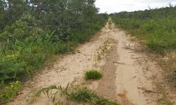 Imagem 5: Fazenda 8500 hect em tangará da serra MT. Terra Serrado, 5 mil da plantio 80 milhões
