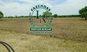 Imagem 2: Fazenda 83.5 Alqueires Vale do Araguaia