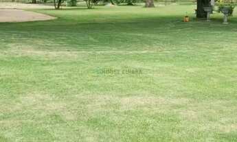 Imagem 7: Fazenda de 430 hectares sendo 85% toda aberta com excelente localização na regiã