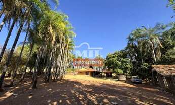 Imagem 3: Chacara 5 Alqueires (24,2 hectares) Piracanjuba - GO