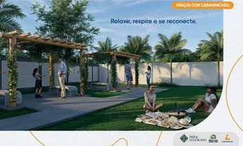 Imagem 11: TER 103 Imóvel para venda tem 43 metros quadrados com 2 quartos em Recanto Fialho - São