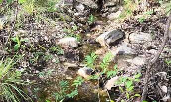 Imagem 4: Terreno na Chapada dos veadeiros