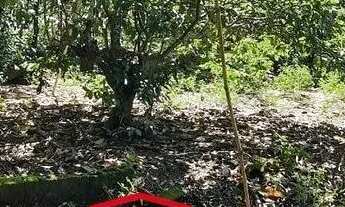 Imagem 5: TERRENO PARA VENDER EM CAÇAPAVA