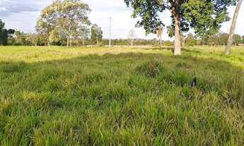 Imagem 3: Sítio excelente todo formado