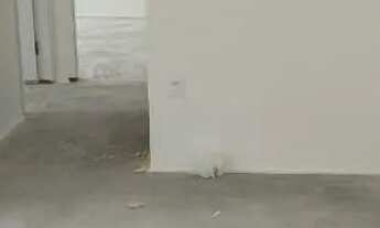 Imagem 3: Vendo apartamento