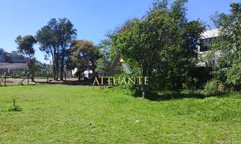 Imagem 2: TERRENO - Bairro Salgado Filho