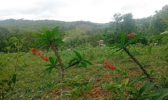 Imagem 7: 3 mil mts quadrados apenas 1 km da rodovia