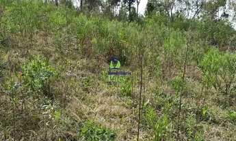 Imagem 5: Chácara com 4.068m² em Mandirituba - PR