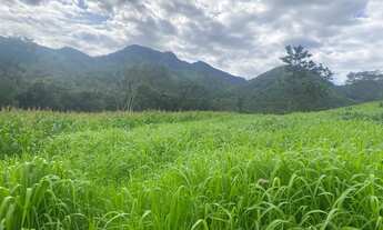 Imagem 5: Fazenda Goiás Monte alegre
