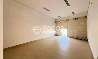 Imagem 2: Loja para aluguel, 2 vagas, Panorama - Uberlândia/MG