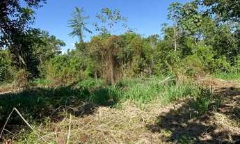 Imagem 5: Terreno em Manacapura /Beira de Pista Estrada 10Hec