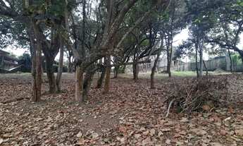 Imagem 4: LINDO TERRENO - CONDOMÍNIO COM CLUBE DE GOLF
