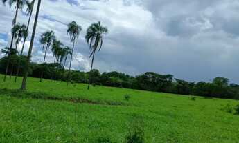 Imagem: Fazenda 81 alq. Na região de Água Fria