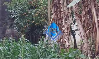 Imagem 5: Terreno à venda, 240 m² por R$ 296.799,00 - Dos Casa - São Bernardo do Campo/SP