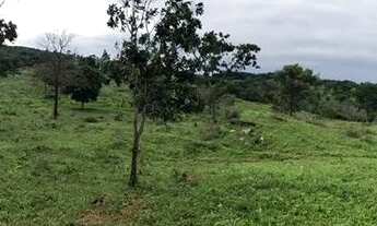Imagem 6: Fazenda à venda 240 alqueires em Marzagão-Go