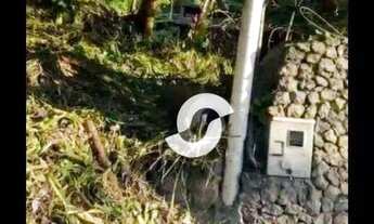 Imagem 6: Terreno à venda, 1986 m² por R$ 550.000,00 - Pendotiba - Niterói/RJ