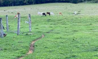 Imagem 4: Sítio Completo à Venda - 4 Hectares Escriturados em Taquara/RS